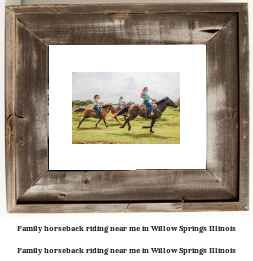 family horseback riding near me in Willow Springs, Illinois